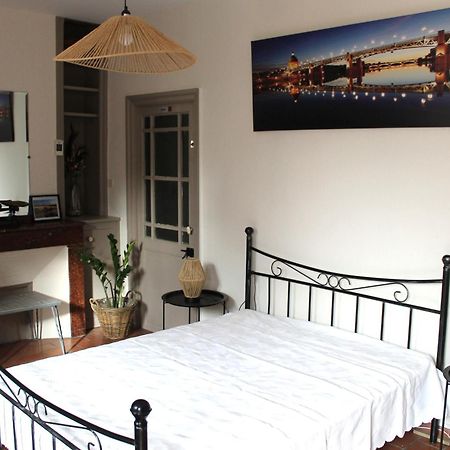 Maison Toulousaine Avec Jardin Toulouse Buitenkant foto