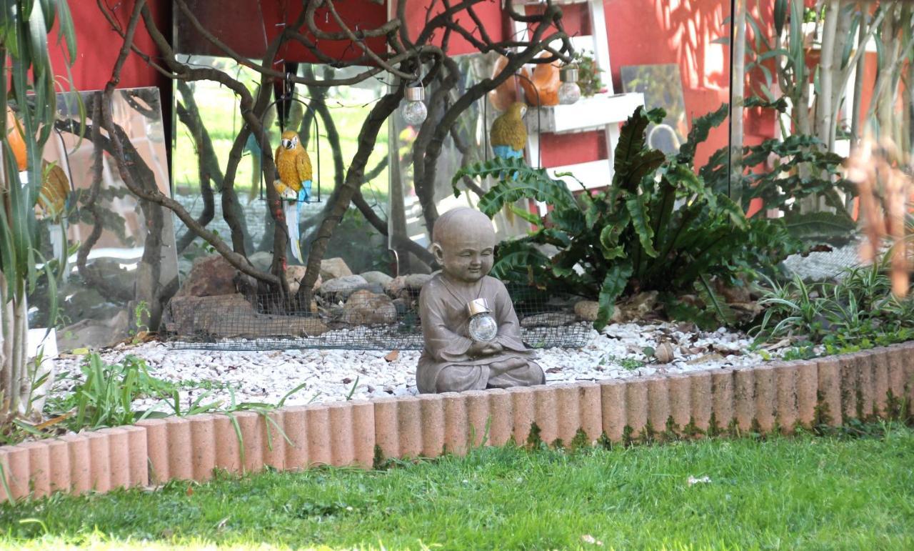Maison Toulousaine Avec Jardin Toulouse Buitenkant foto
